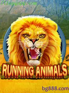 RunningAnimals
